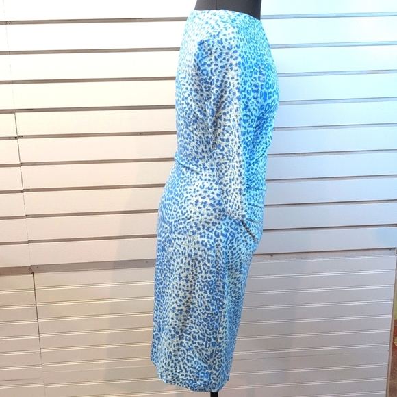 J. McLaughlin Catalina Cloth Sage Rouched Side Animal Print Dress Small EUC - Picture 3 of 7